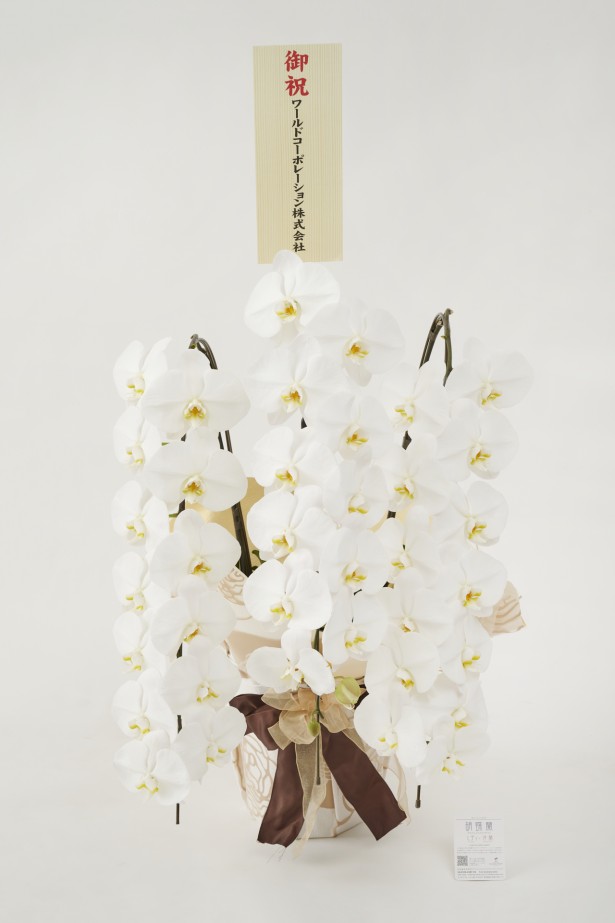 <p>胡蝶蘭大輪商品には、無料で立札またはメッセージカードをお付けしております。</p>