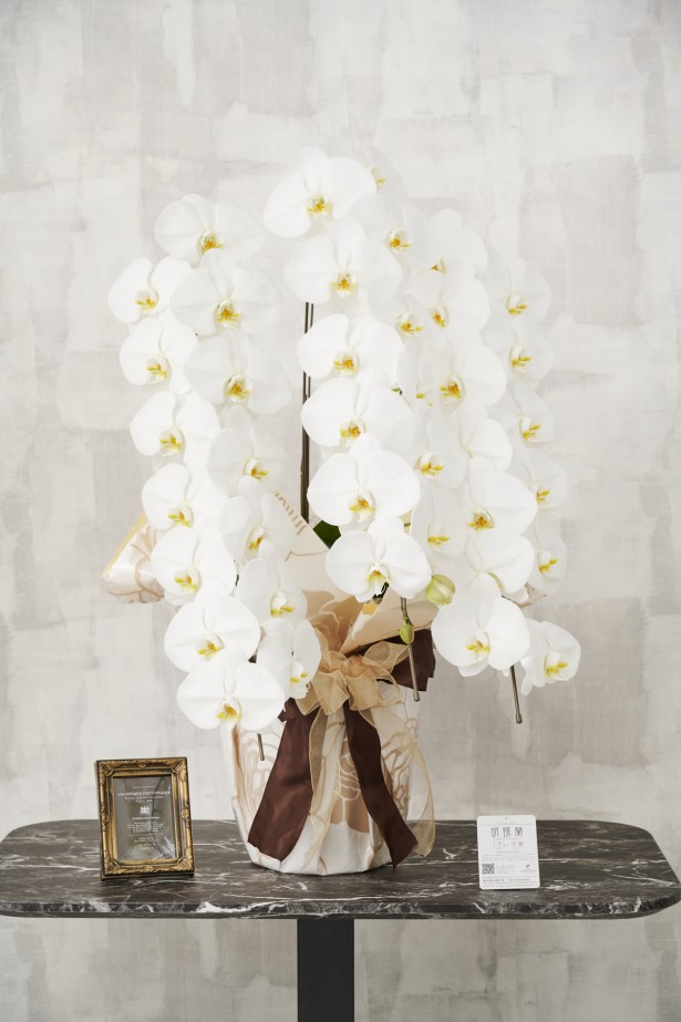 通常の胡蝶蘭3本立よりもインパクトのあるこだわりラッピングとリボンが特徴の商品です。