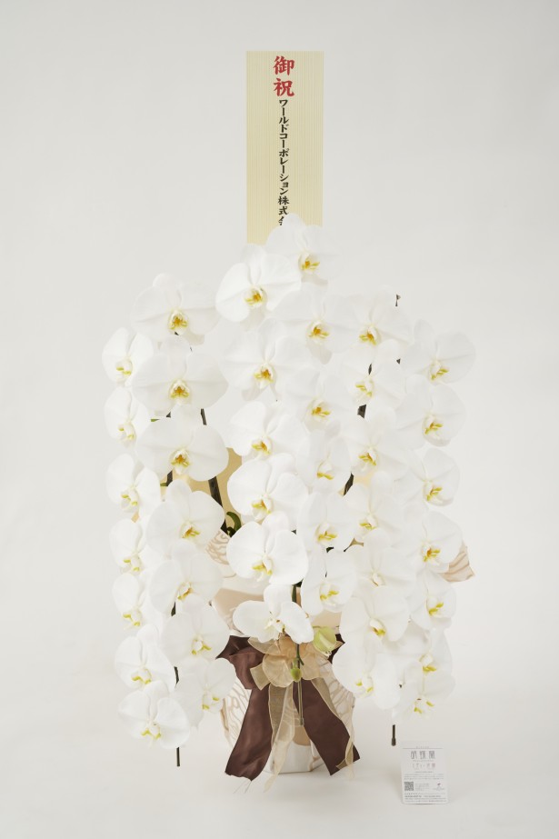 <p>胡蝶蘭大輪商品には、無料で立札またはメッセージカードをお付けしております。</p>