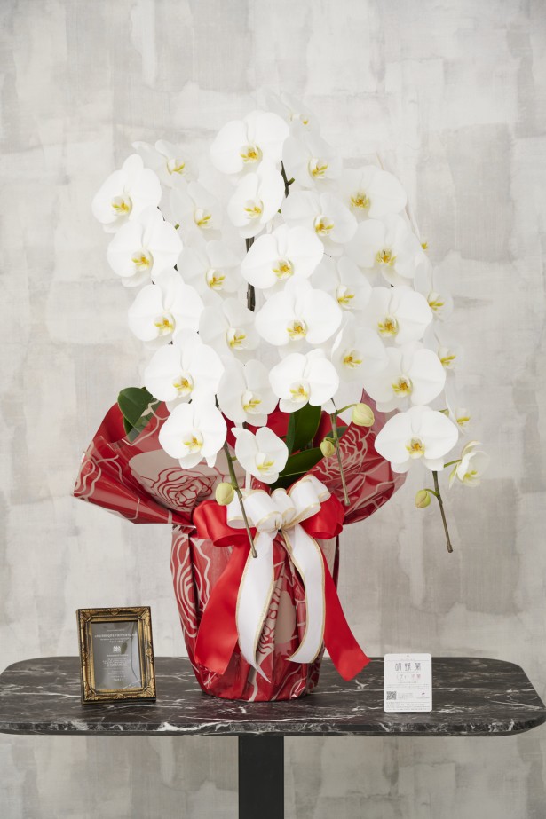 通常の胡蝶蘭3本立よりもインパクトのあるこだわりラッピングとリボンが特徴の商品です。