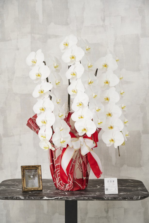 通常の胡蝶蘭3本立よりもインパクトのあるこだわりラッピングとリボンが特徴の商品です。