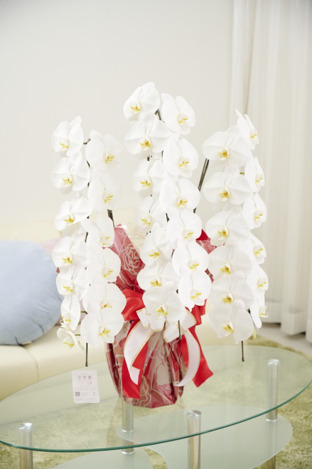 <p>オフィスや店舗に飾っていただいても存在感抜群のこだわりラッピング胡蝶蘭3本立です。</p>