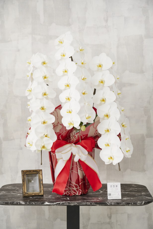 通常の胡蝶蘭3本立よりもインパクトのあるこだわりラッピングとリボンが特徴の商品です。
