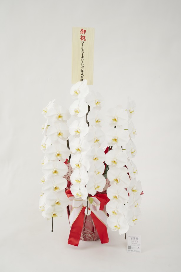 <p>胡蝶蘭大輪商品には、無料で立札またはメッセージカードをお付けしております。</p>