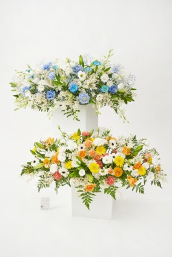 <p>送料無料で、スタッフが直接会場へ手持ち配送いたします。
花の状態を最良のまま、会場指定のお時間に合わせてお届けできるため、安心してご利用いただけます。</p>