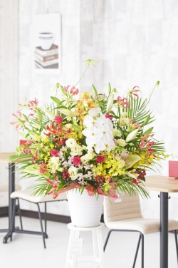 完全おまかせのアレンジメントフラワーです。内容に関する指定、希望は一切承ることができません。