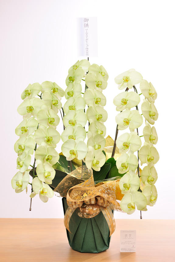 <p>カラー供花胡蝶蘭　彩（irodori）にも、立札かメッセージカードを無料でお付けすることが出来ます。</p>