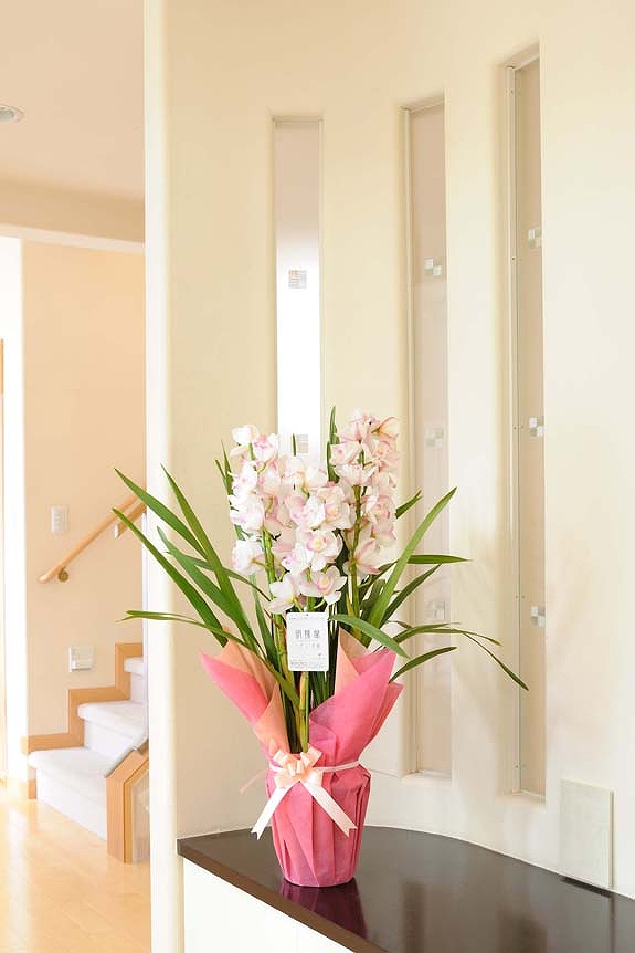 冬を彩る洋蘭シンピジューム！高さがあるため贈り物としての見栄えにも最適です。