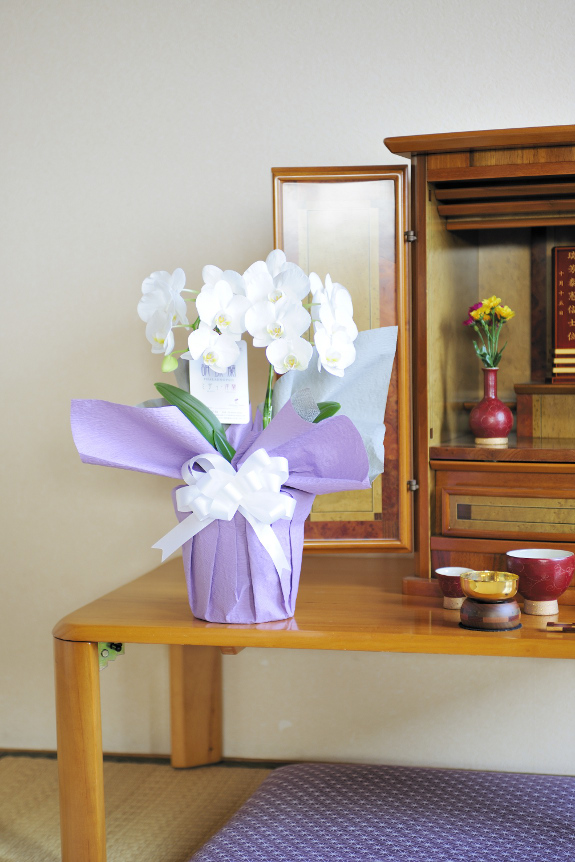 ミニ胡蝶蘭をお供え仕様にアレンジ、手狭なご自宅へのお届けも安心の供花です。