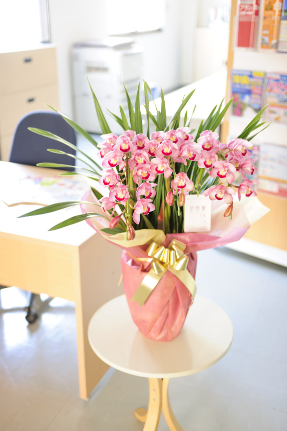 冬の人気商品シンビジュームをアーチ仕立てにアレンジした珍しい商品です。