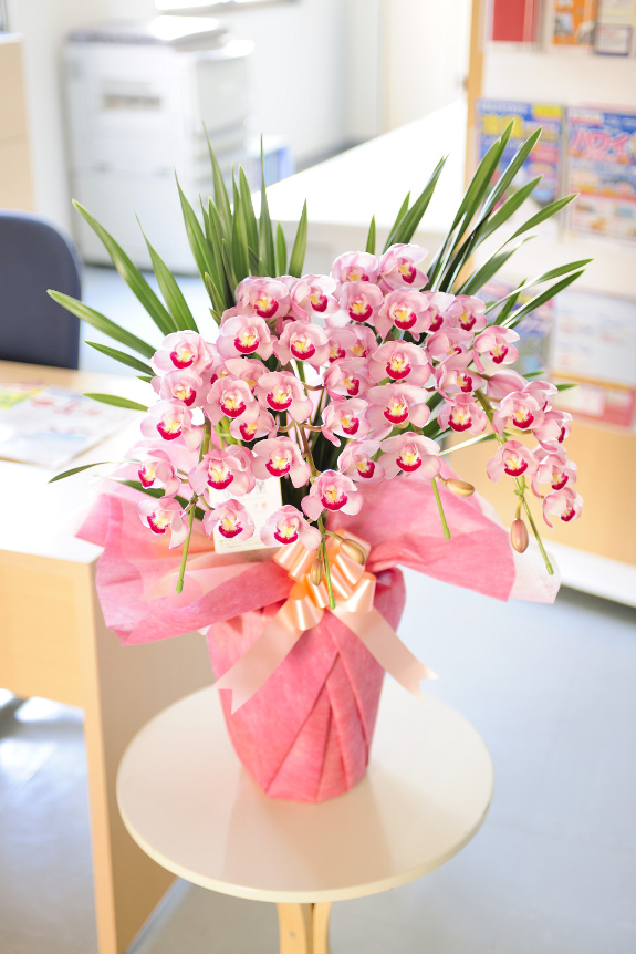 冬の人気商品シンビジュームをアーチ仕立てにアレンジした珍しい商品です。