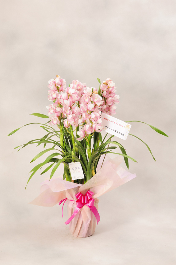 <p>お花には立札またはメッセージカードをお付けしております。</p>