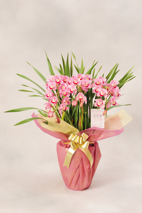 <p>全品に当店連絡先入りのショップタグを付けておりますので、万が一、配送中に品質へ影響が出た場合にもすぐにお届け先より連絡をいただけます。
※裏面にはお花の管理方法を記載しています。</p>