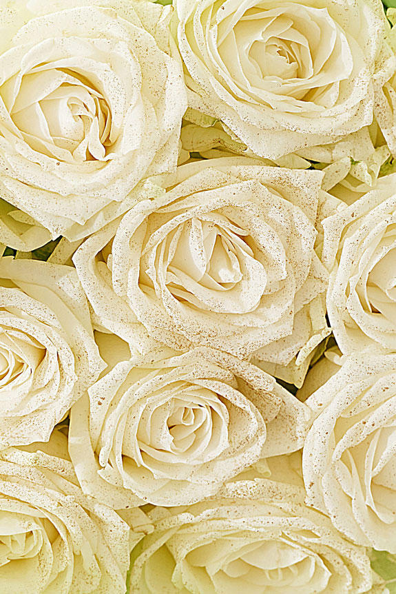 豪華なゴールドラメ仕様（18金/K18）入り薔薇の花束・ブーケ商品です。