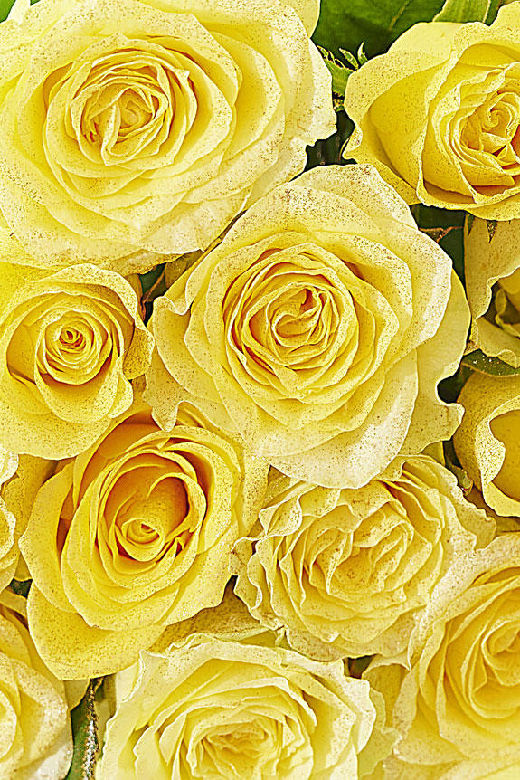 豪華なゴールドラメ仕様（18金/K18）入り薔薇の花束・ブーケ商品です。