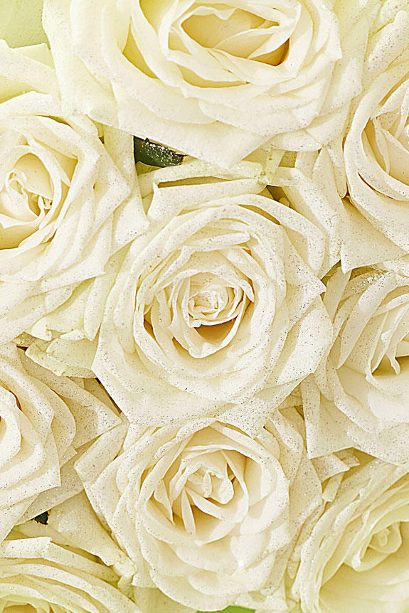 豪華なシルバーラメ仕様（ダイヤモンド）入り薔薇の花束・ブーケ商品です。