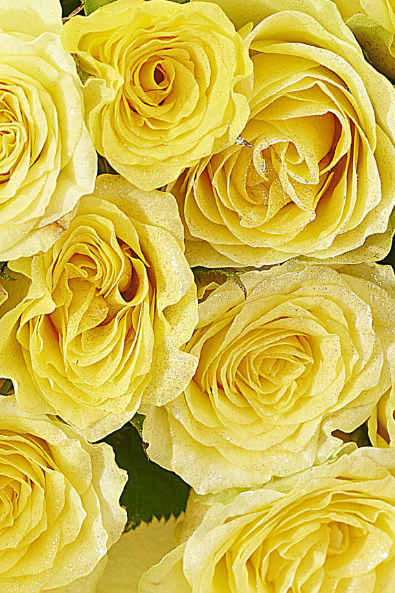 豪華なシルバーラメ仕様（ダイヤモンド）入り薔薇の花束・ブーケ商品です。