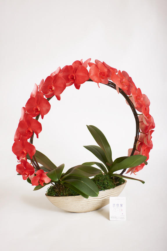 <p>色、形状、花器のどれをとっても他と差をつけられるのがカラー胡蝶蘭彩（irodori）リングの特徴です。</p>
