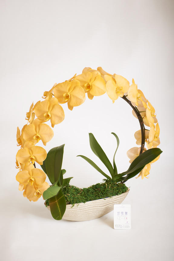<p>色、形状、花器のどれをとっても他と差をつけられるのがカラー胡蝶蘭彩（irodori）リングの特徴です。</p>