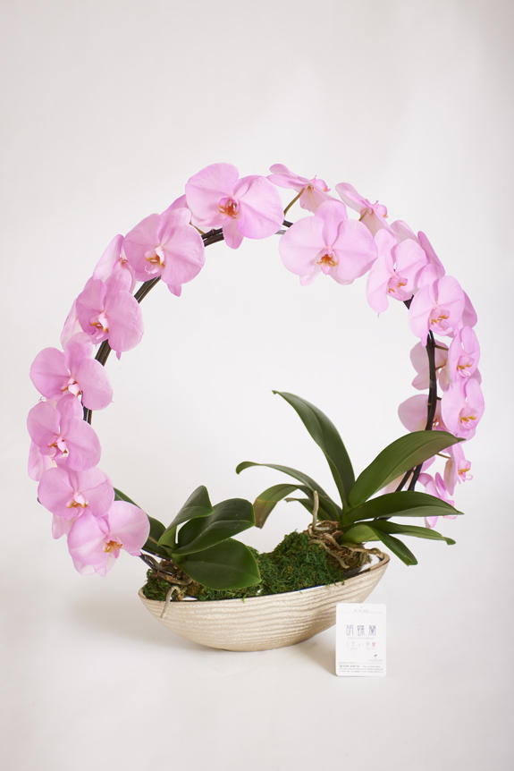 <p>色、形状、花器のどれをとっても他と差をつけられるのがカラー胡蝶蘭彩（irodori）リングの特徴です。</p>