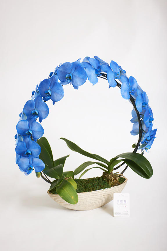 <p>色、形状、花器のどれをとっても他と差をつけられるのがカラー胡蝶蘭彩（irodori）リングの特徴です。</p>
