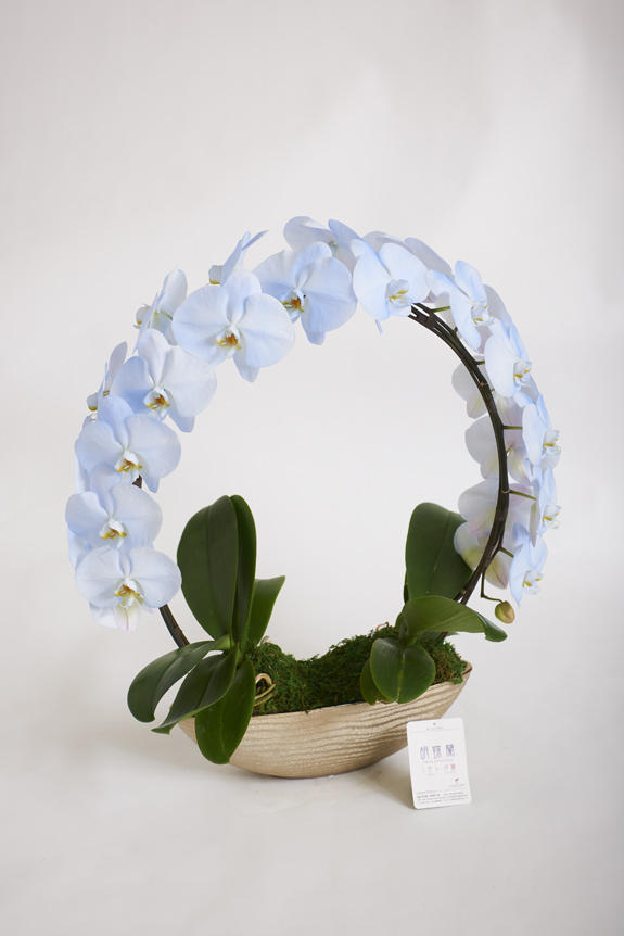 <p>色、形状、花器のどれをとっても他と差をつけられるのがカラー胡蝶蘭彩（irodori）リングの特徴です。</p>