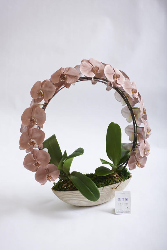<p>色、形状、花器のどれをとっても他と差をつけられるのがカラー胡蝶蘭彩（irodori）リングの特徴です。</p>