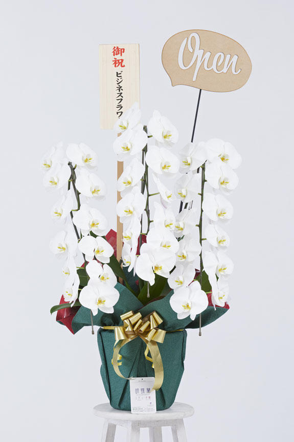 <p>立札とあわせてOpen（吹き出し型）の立体メッセージ立札が付いています。</p>