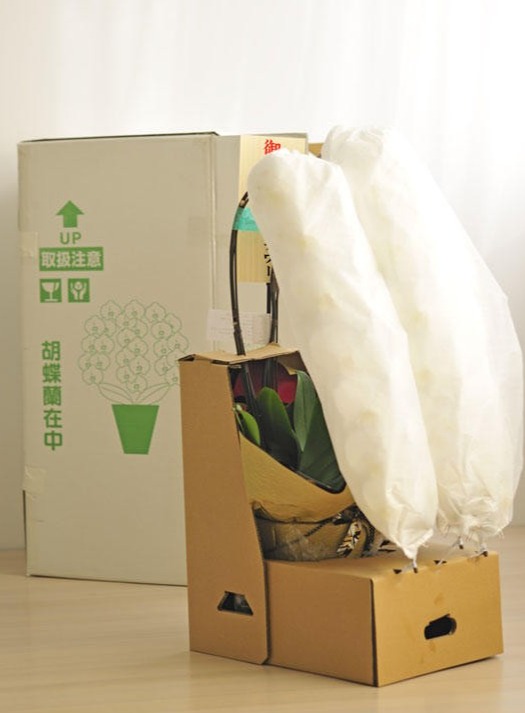 <p>胡蝶蘭は厳重梱包の宅配でお届けしております。ご安心ください。</p>