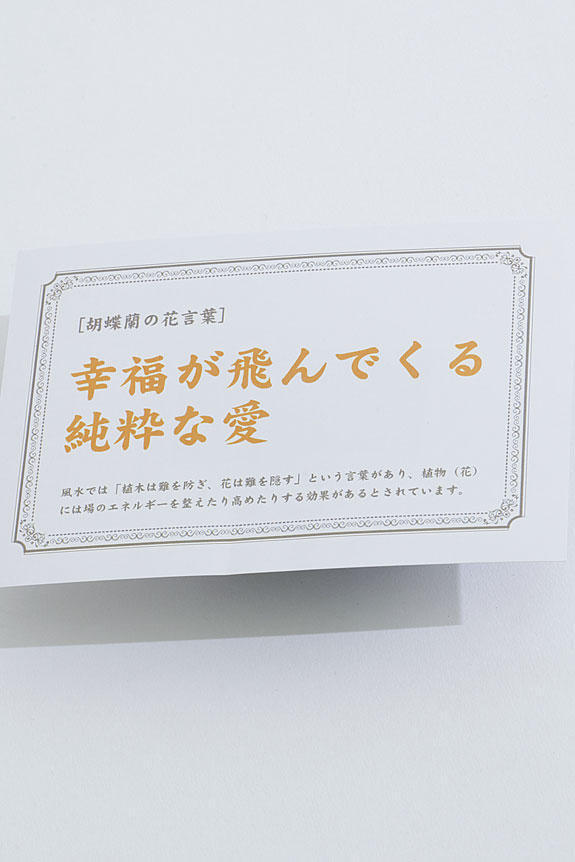 <p>胡蝶蘭の花言葉「幸福が飛んでくる/純粋な愛」を記した花言葉カード付きとなります。お渡しする先様にもお花を贈った気持ちをダイレクトに伝えることが可能です。</p>