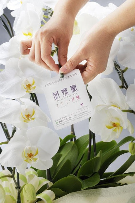 <p>祝い花や供花を販売するネットの花屋ビジネスフラワー®の品質保証タグが付いているので、万が一の際もご安心ください。</p>