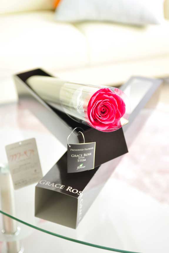 プリザーブドフラワーLuxury Rose（ホットピンク）は各種お祝い事の簡単なフラワーギフトや贈り物にオススメです。