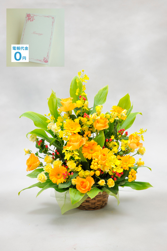 アレンジメントフラワーSサイズは、温かみのある黄色系のお花でお仕立てするお祝い花です。開店祝いや移転祝い、お誕生日など様々なお祝いのシーンにご利用頂けます。