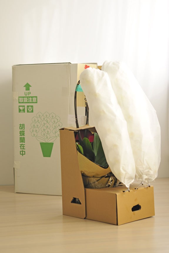 <p>高価なお花の胡蝶蘭はしっかり梱包でお届けしております。ご安心ください。</p>