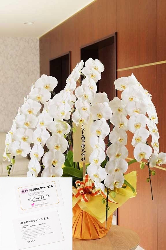 鉢回収サービスチケットと胡蝶蘭大輪をセットにした、お届け先様へ配慮した真心のこもった一品です。
