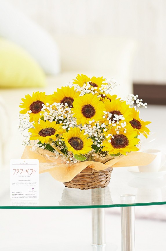 <p>ヒマワリが夏の季節感を演出！誕生日祝いや長寿祝いの他、開店祝い、開業祝いにもお薦めしたい夏季限定商品です。</p>