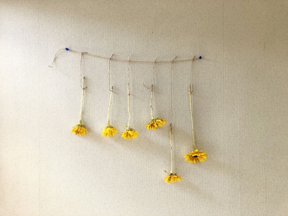 <p>生花・ドライフラワーの2way利用が可能な商品なので、ドライフラワー作成も楽しめます。（写真はイメージ）</p>