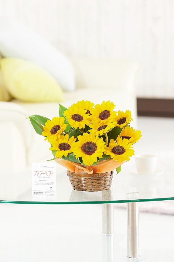 <p>ヒマワリが夏の季節感を演出！誕生日祝いや長寿祝いの他、開店祝い、開業祝いにもお薦めしたい夏季限定商品です。</p>