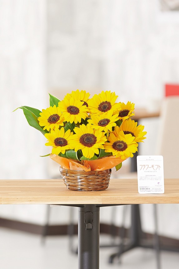 夏の時期しか販売しないひまわりのアレンジメントフラワー商品は、夏のお祝い事の贈り物としてお薦めです。