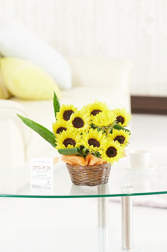 <p>ヒマワリが夏の季節感を演出！誕生日祝いや長寿祝いの他、開店祝い、開業祝いにもお薦めしたい夏季限定商品です。</p>