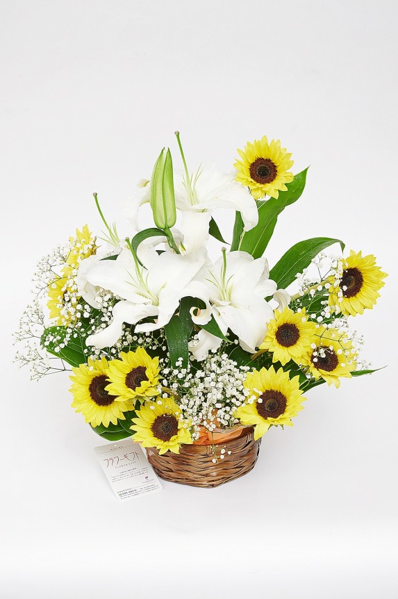 誕生日、結婚、長寿祝いのプレゼントや贈り物として、開店、開業、退職祝いなどのフラワーギフトとしてお薦めの一品です。