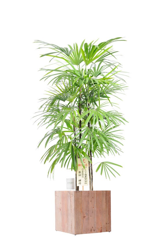 リサイクルウッド材を使用したどんなシーンにもマッチするデザインのシュロチク商品です。