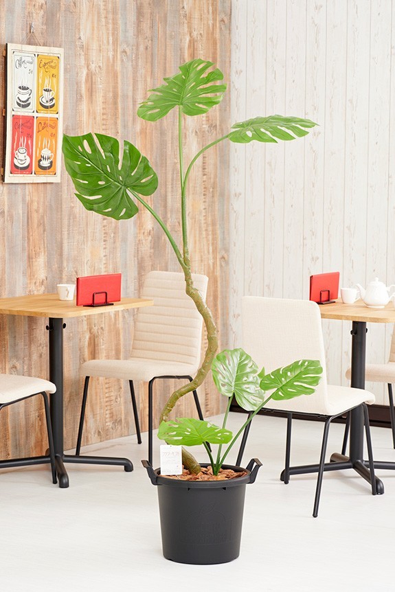まるで本物の様な造花植物（アーティフィシャルフラワー）は、お店やオフィスの飾り、開店祝い、開業祝いの贈り物、プレゼントしてお薦めです。