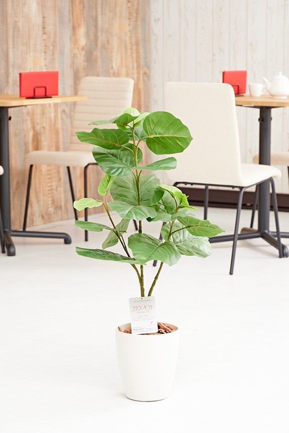 まるで本物の様な造花植物（アーティフィシャルフラワー）は、お店やオフィスの飾り、開店祝い、開業祝いの贈り物、プレゼントしてお薦めです。