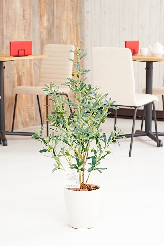 まるで本物の様な造花植物（アーティフィシャルフラワー）は、お店やオフィスの飾り、開店祝い、開業祝いの贈り物、プレゼントしてお薦めです。