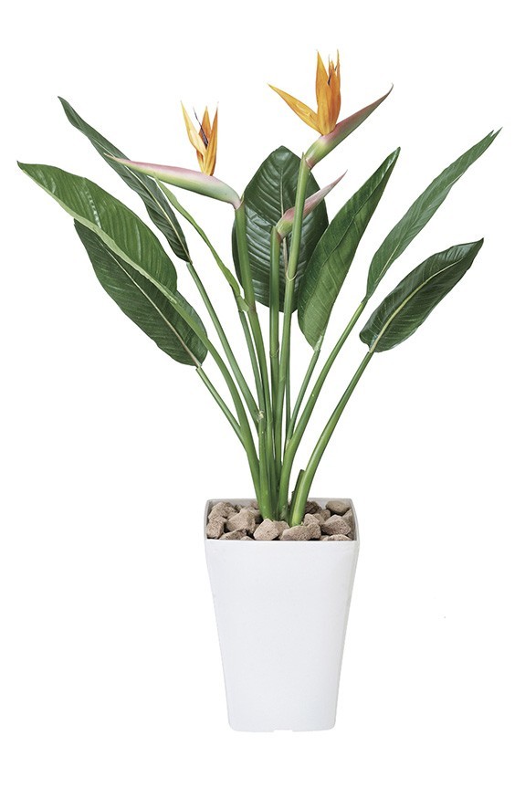 まるで本物の様な造花植物（アーティフィシャルフラワー）は、お店やオフィスの飾り、開店祝い、開業祝いの贈り物、プレゼントしてお薦めです。