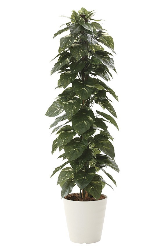 まるで本物の様な造花植物（アーティフィシャルフラワー）は、お店やオフィスの飾り、開店祝い、開業祝いの贈り物、プレゼントしてお薦めです。