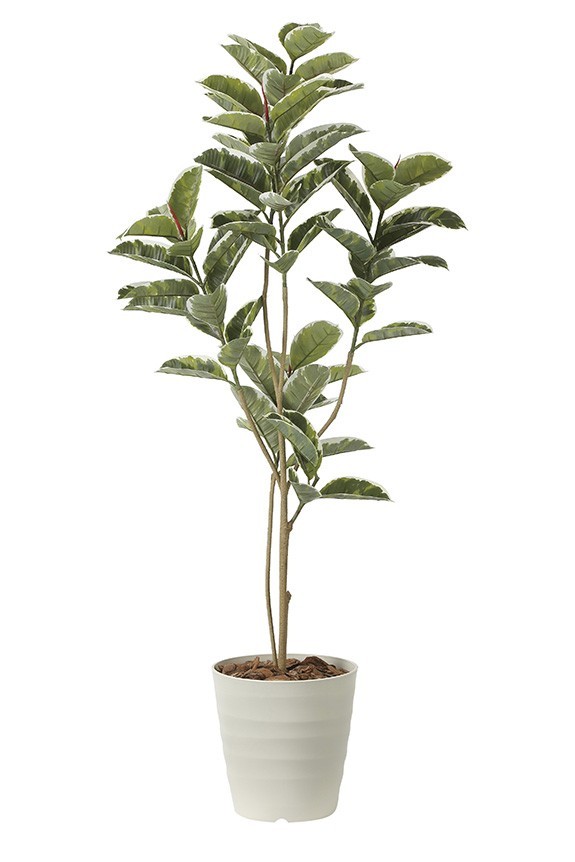 まるで本物の様な造花植物（アーティフィシャルフラワー）は、お店やオフィスの飾り、開店祝い、開業祝いの贈り物、プレゼントしてお薦めです。