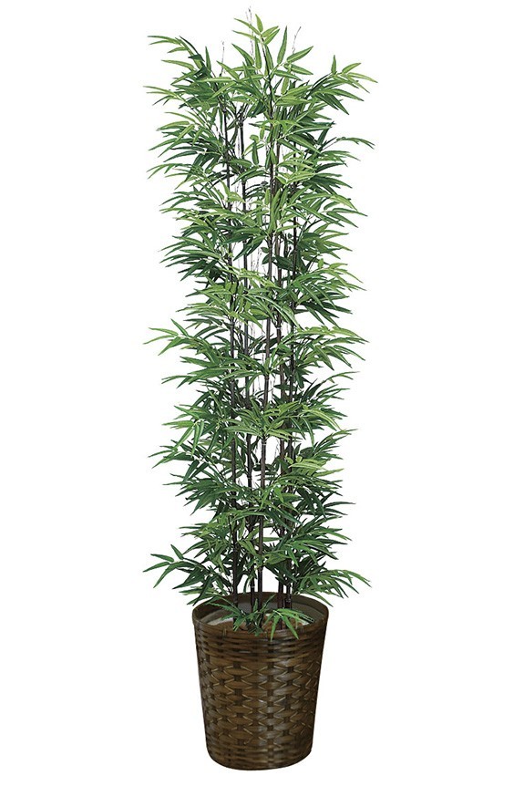 まるで本物の様な造花植物（アーティフィシャルフラワー）は、お店やオフィスの飾り、開店祝い、開業祝いの贈り物、プレゼントしてお薦めです。