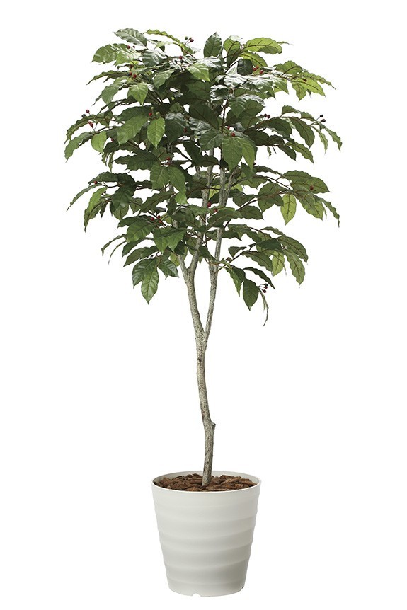 まるで本物の様な造花植物（アーティフィシャルフラワー）は、お店やオフィスの飾り、開店祝い、開業祝いの贈り物、プレゼントしてお薦めです。